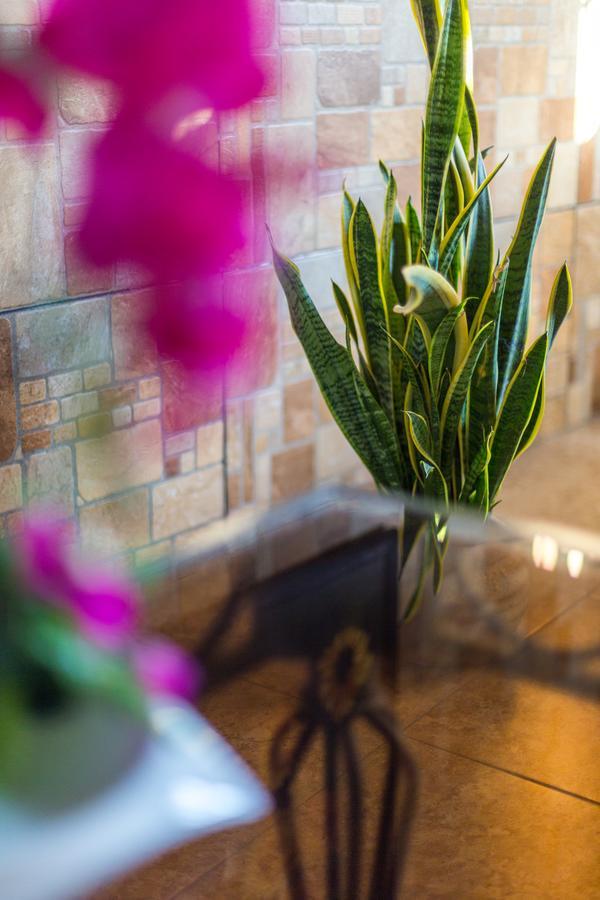 Merida Serviced Apartments מראה חיצוני תמונה